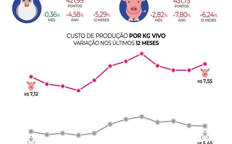 Custos de produção de suínos sobem em julho;  ICPFrango volta a cair