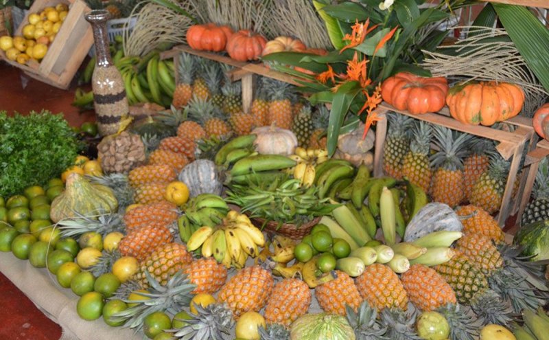 Programa Estadual de Aquisição de Alimentos do Governo de RO atende municípios do Estado